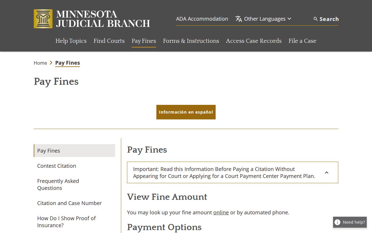 Big Stone County traffic court citation payment options